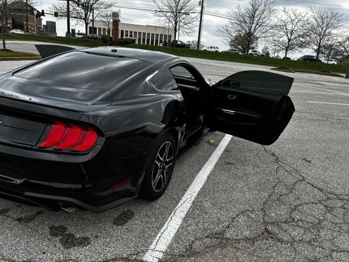 2019 Ford Mustang EcoBoost Premium