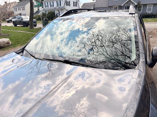 Gray 2019 Subaru Ascent Premium 7-Passenger