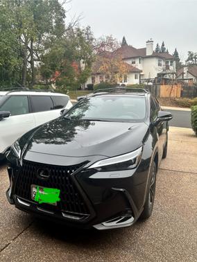 2024 Lexus NX 450h+ Luxury