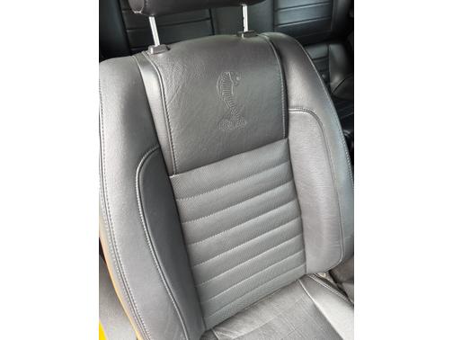 2007 Ford Shelby GT500 Base