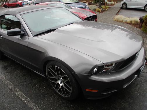 2010 Ford Mustang Base