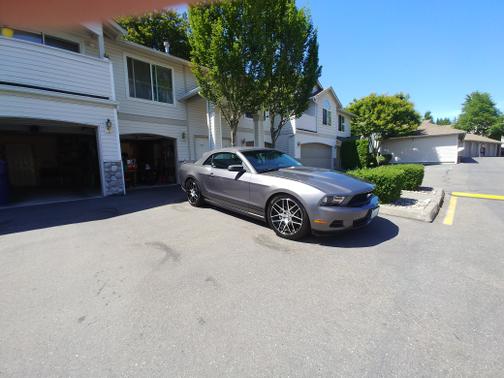 2010 Ford Mustang Base