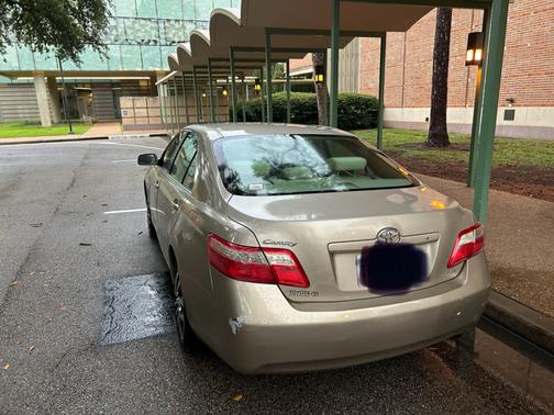 2009 Toyota Camry LE
