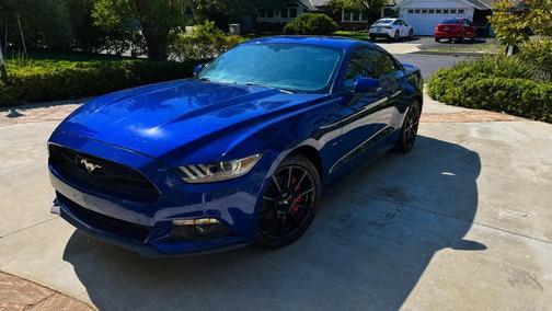 Blue 2015 Ford Mustang EcoBoost Premium