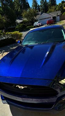 Blue 2015 Ford Mustang EcoBoost Premium