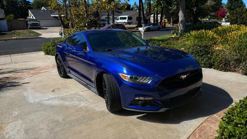 Blue 2015 Ford Mustang EcoBoost Premium