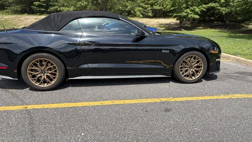Black 2019 Ford Mustang GT Premium