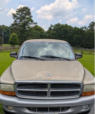 Brown 2003 Dodge Dakota SLT Club Cab