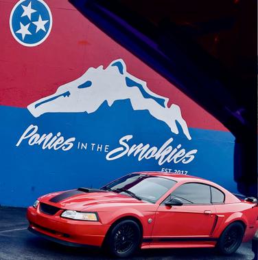 2004 Ford Mustang Mach I