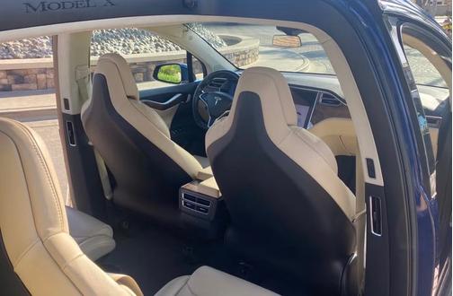 Blue 2017 Tesla Model X 100D