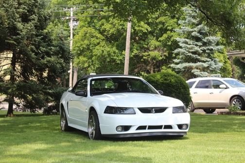 1999 Ford Mustang Cobra