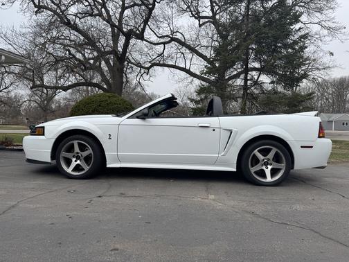 1999 Ford Mustang Cobra