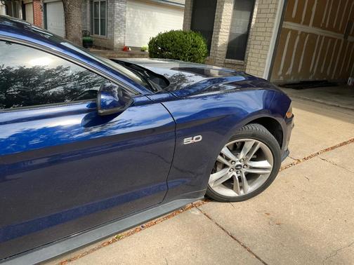 Blue 2020 Ford Mustang GT Premium