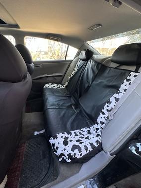 2007 Nissan Maxima SL