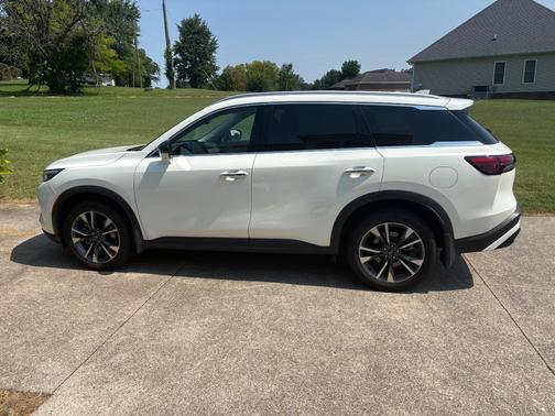White 2025 INFINITI QX60 LUXE
