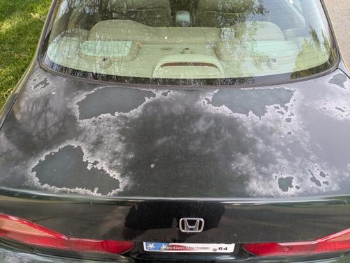 2000 Honda Accord EX-L