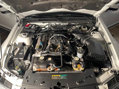 2008 Ford Mustang Shelby GT500