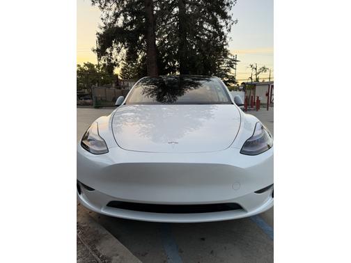 2023 Tesla Model Y RWD