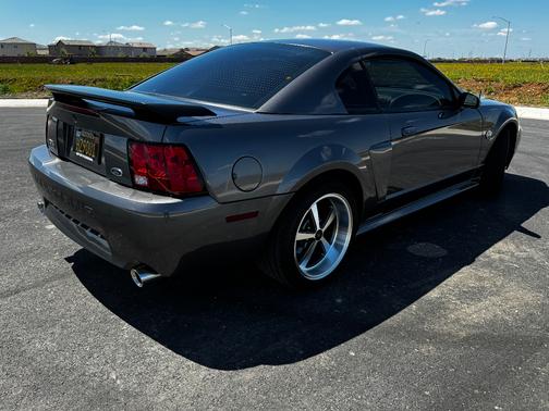 Gray 2004 Ford Mustang Mach I