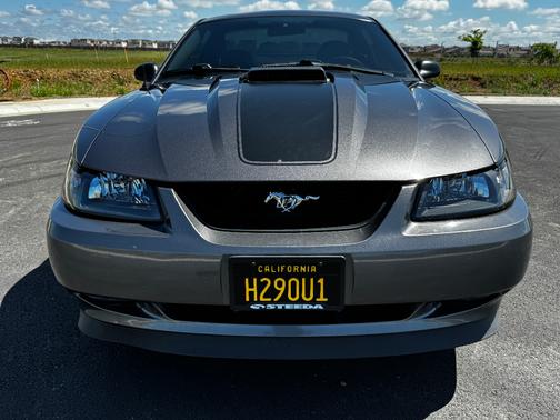 Gray 2004 Ford Mustang Mach I