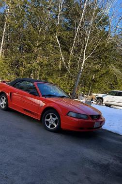 Orange 2004 Ford Mustang Base