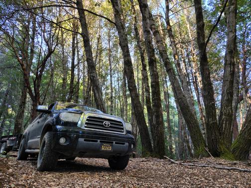 2008 Toyota Tundra Limited Double Cab