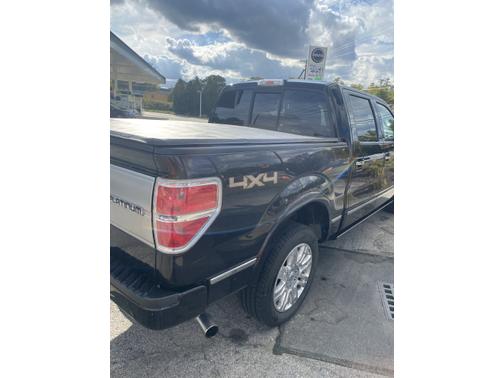 2013 Ford F-150 Platinum