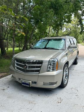 2013 Cadillac Escalade ESV Platinum Edition