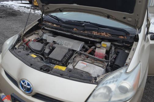 Beige 2010 Toyota Prius II