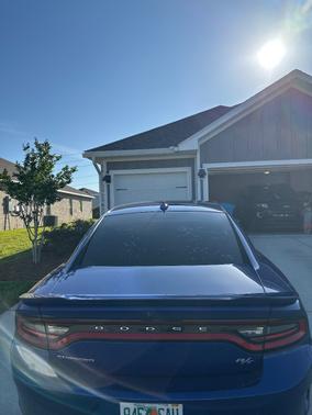 Blue 2019 Dodge Charger R/T