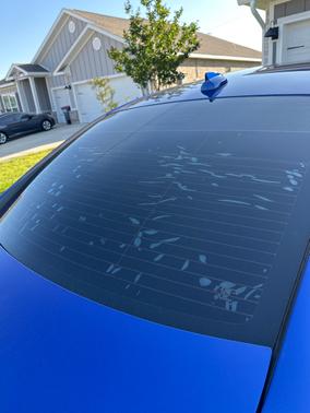 Blue 2019 Dodge Charger R/T