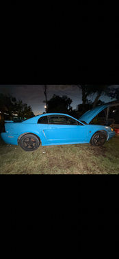 Blue 2004 Ford Mustang Base