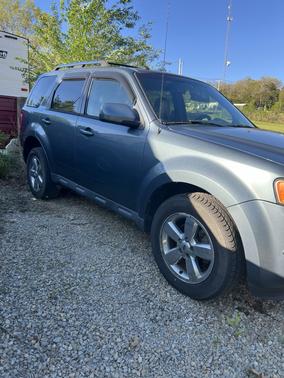 Blue 2010 Ford Escape Limited