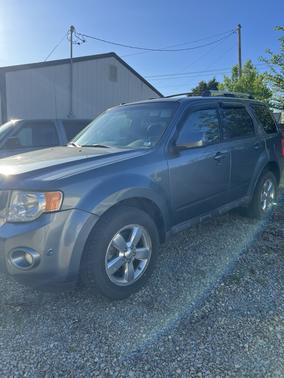 Blue 2010 Ford Escape Limited