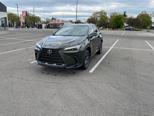 Green 2023 Lexus NX 350h Base