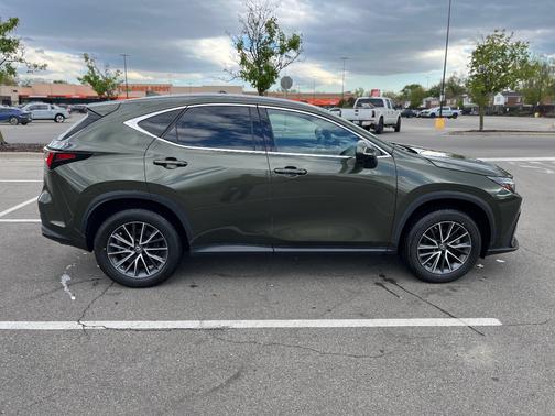 Green 2023 Lexus NX 350h Base