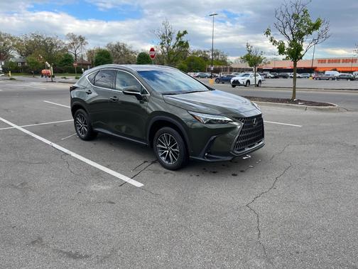 Green 2023 Lexus NX 350h Base