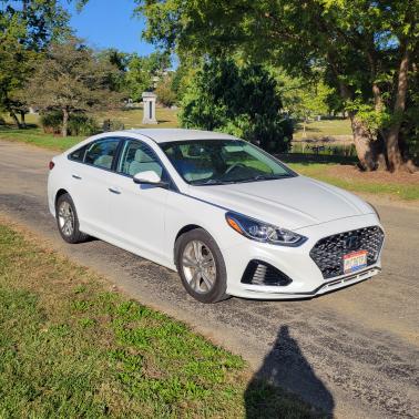 2019 Hyundai SONATA SEL