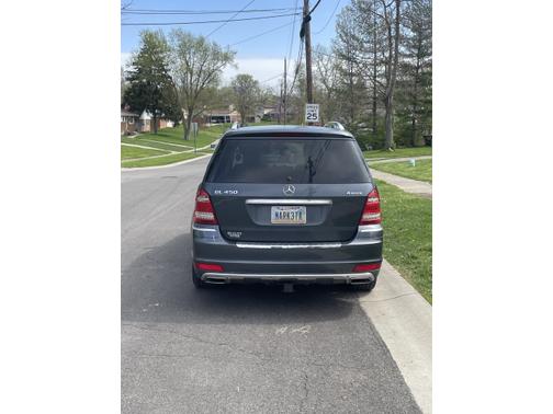 2010 Mercedes-Benz GL-Class GL 450