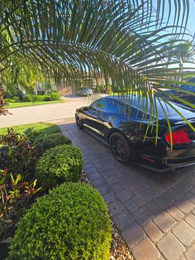 Black 2019 Ford Mustang GT Premium