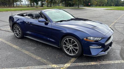 Blue 2019 Ford Mustang EcoBoost Premium