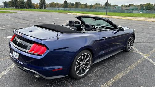 Blue 2019 Ford Mustang EcoBoost Premium
