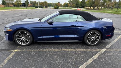 Blue 2019 Ford Mustang EcoBoost Premium