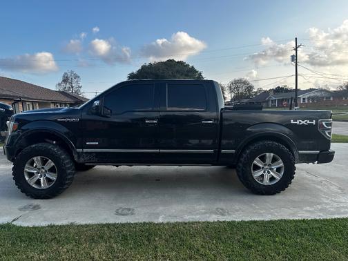 2013 Ford F-150 Platinum