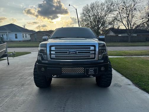 2013 Ford F-150 Platinum