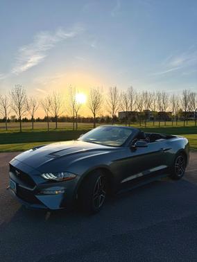 Gray 2022 Ford Mustang EcoBoost Premium