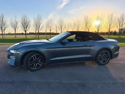 Gray 2022 Ford Mustang EcoBoost Premium