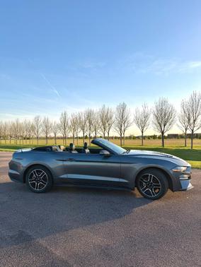 Gray 2022 Ford Mustang EcoBoost Premium