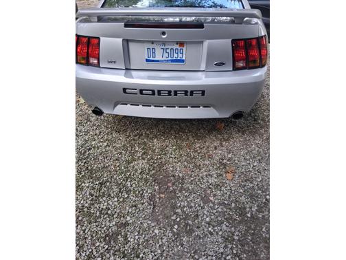 2001 Ford Mustang SVT Cobra