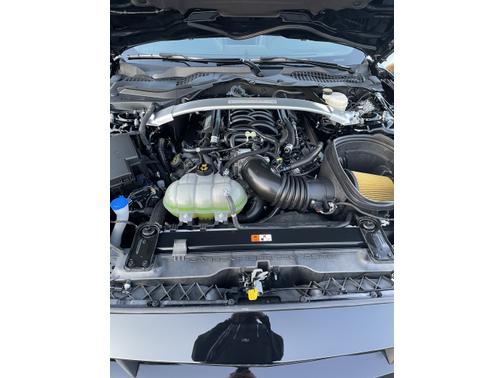 2020 Ford Shelby GT350 Base